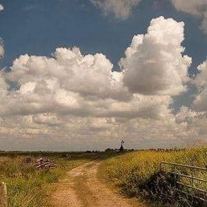 Meet your Posher, Sean